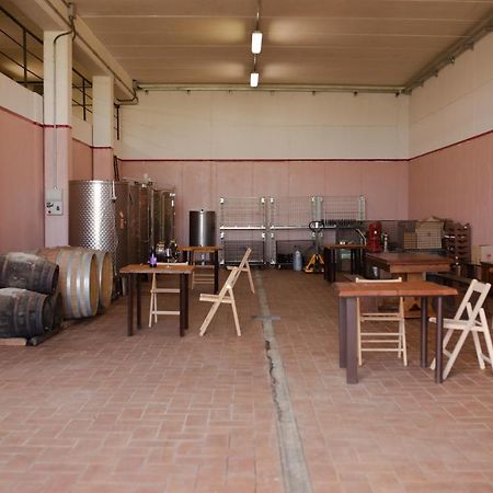 Appartamenti Casalsole 切雷托圭迪 外观 照片